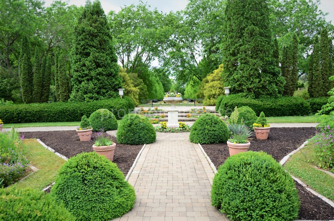 Outdoor Living