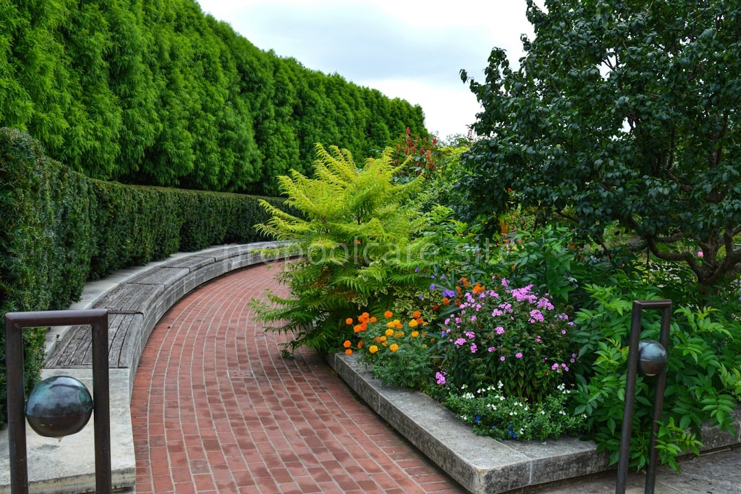 Custom Ponds